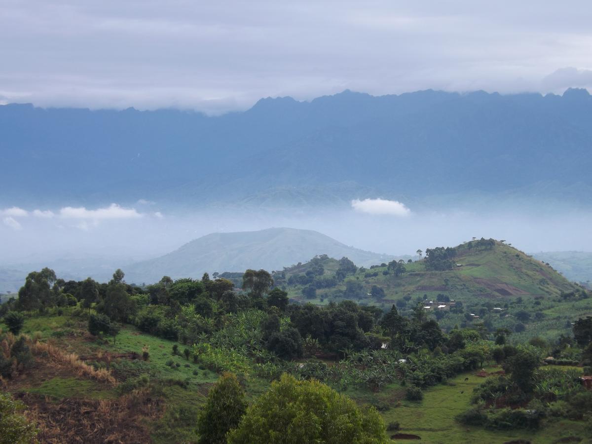 Isunga Lodge Kibale National Park 외부 사진